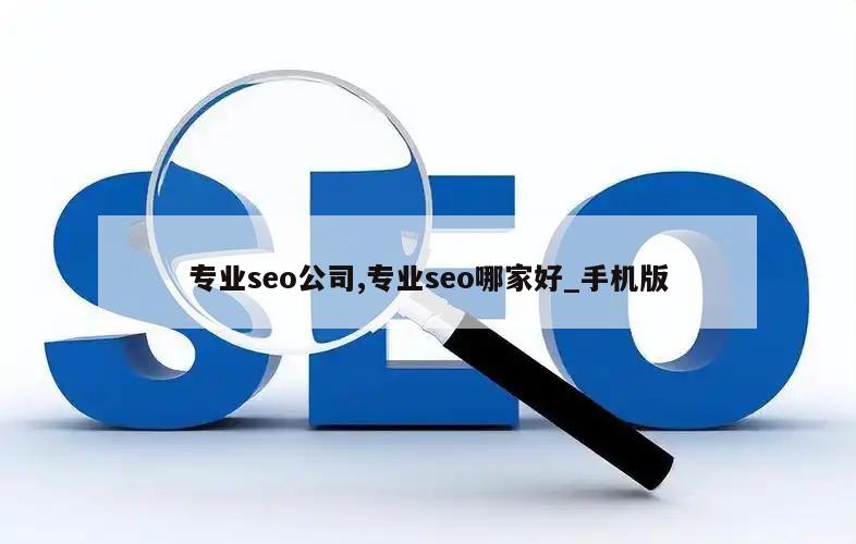 专业seo公司,专业seo哪家好_手机版