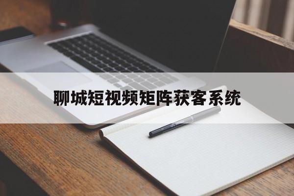 聊城短视频矩阵获客系统(个人短视频矩阵设计及分析)