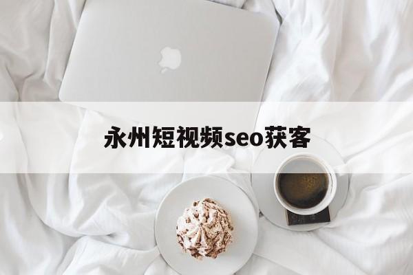 永州短视频seo获客(seo短视频网页入口引流)